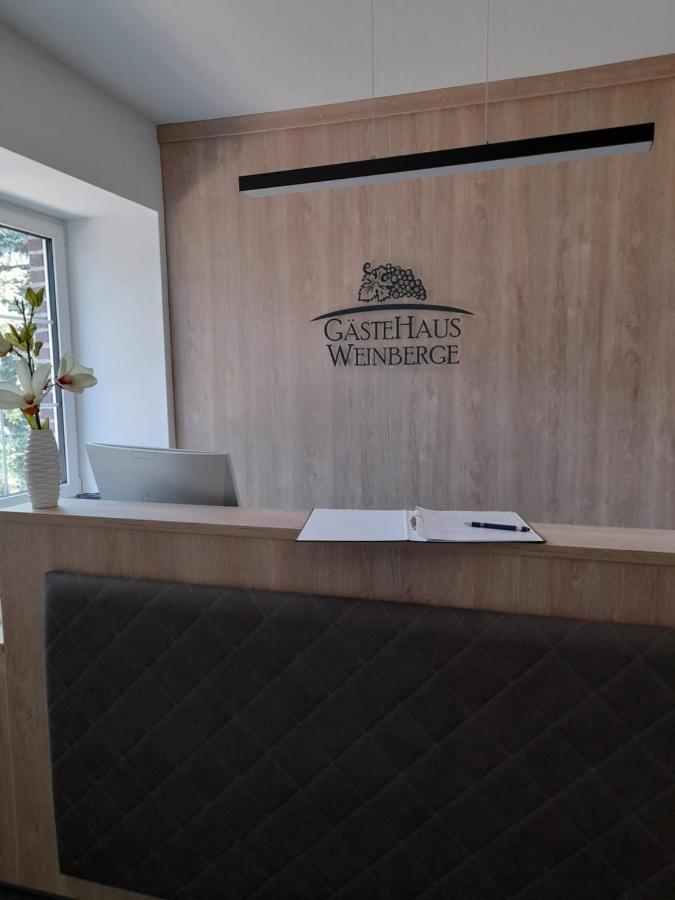Gaestehaus Weinberge Elsterwerda المظهر الخارجي الصورة